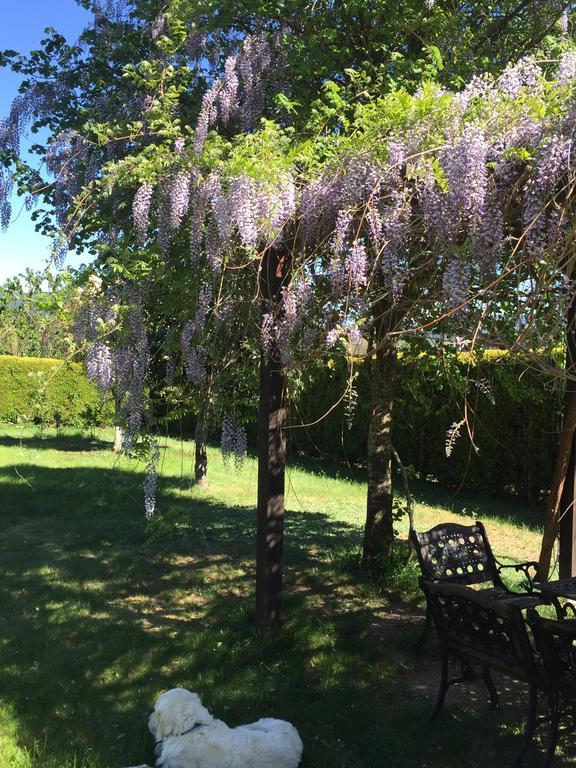 En Entorno Rural Trobos Casa di campagna